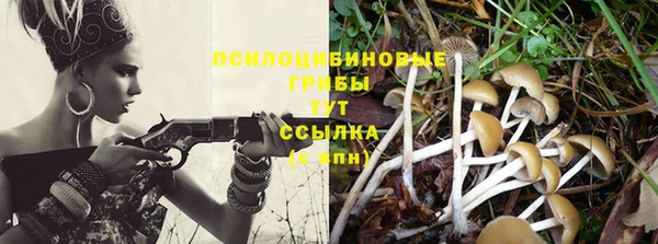 гидропоника Арсеньев
