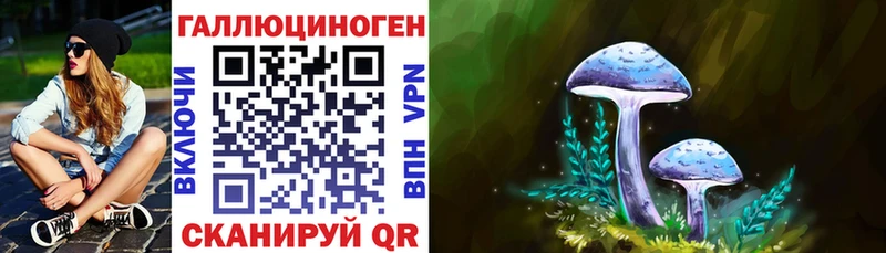 наркошоп  Бавлы  Псилоцибиновые грибы Psilocybine cubensis 